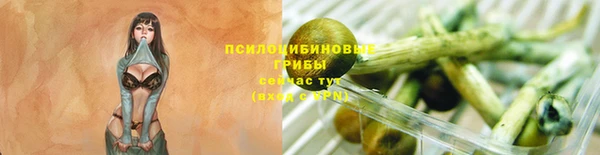 дурь Карпинск