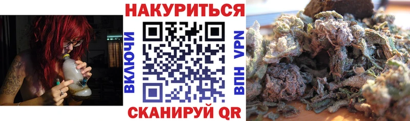 Купить где  Трубчевск  Каннабис OG Kush 